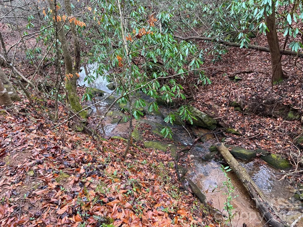 0 Russell Gap Road Taylorsville, NC 28654