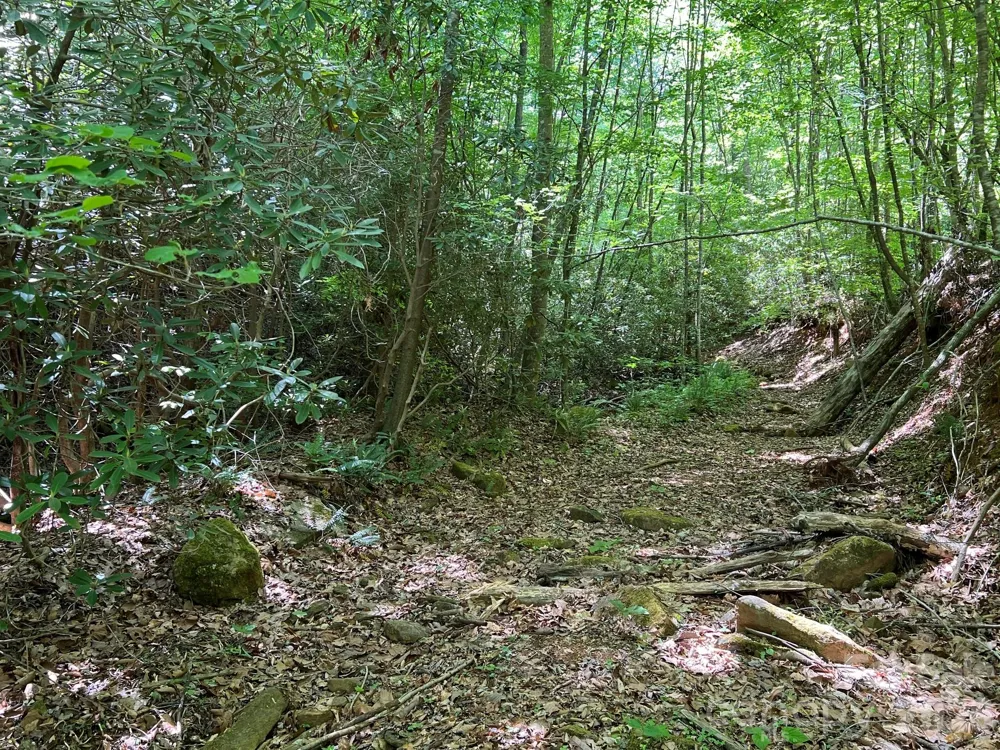0 Russell Gap Road Taylorsville, NC 28654