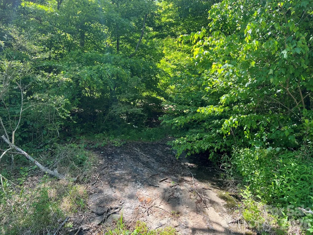 0 Russell Gap Road Taylorsville, NC 28654