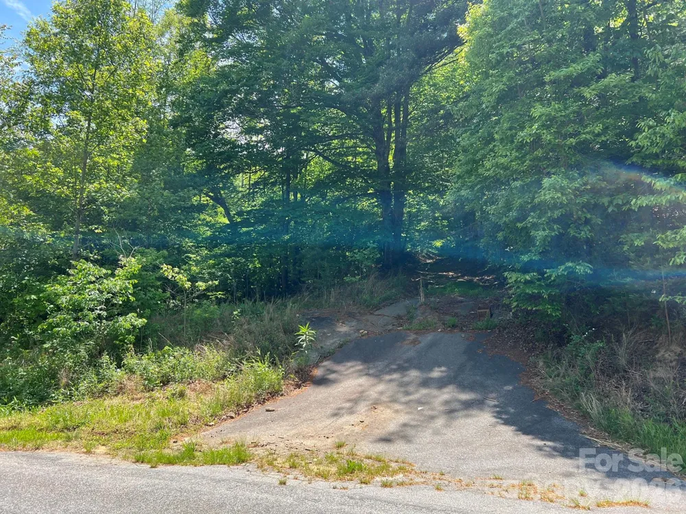 0 Russell Gap Road Taylorsville, NC 28654