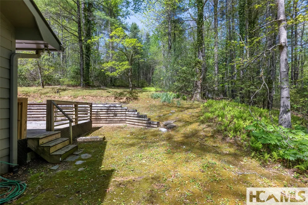 138 Stillwagon Lane Cedar Mountain, NC 28718
