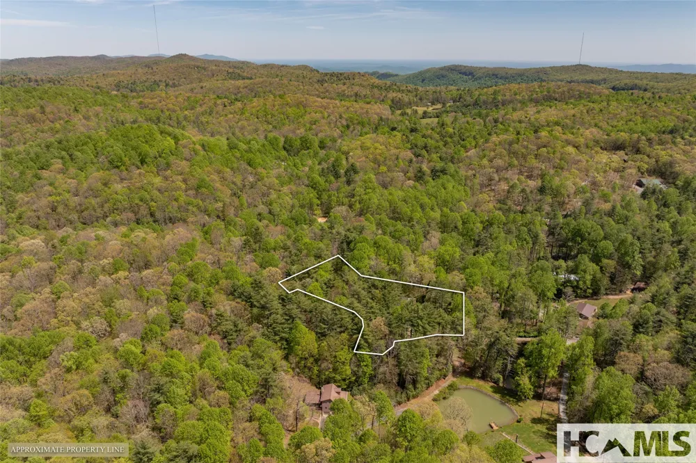 138 Stillwagon Lane Cedar Mountain, NC 28718