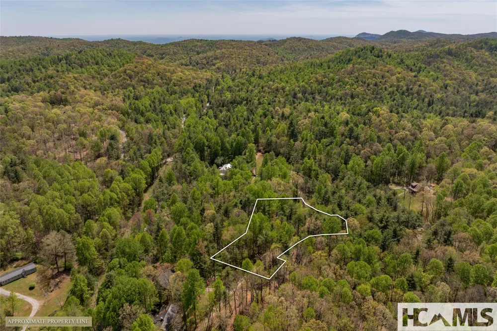 138 Stillwagon Lane Cedar Mountain, NC 28718