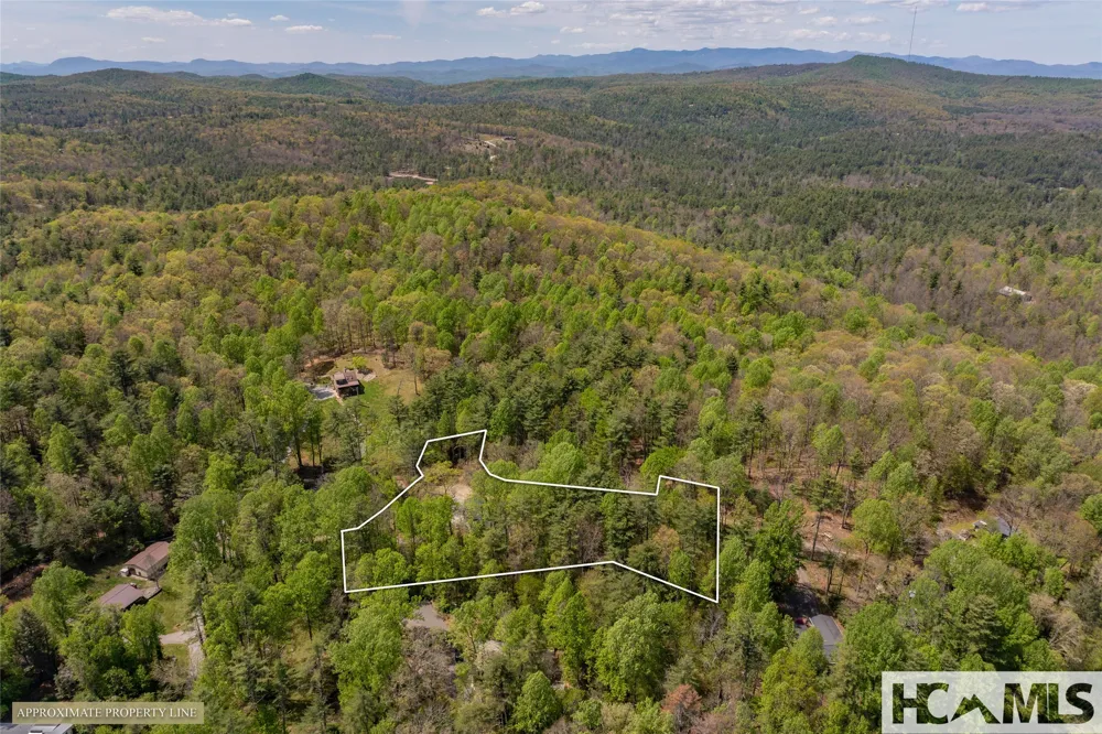 138 Stillwagon Lane Cedar Mountain, NC 28718