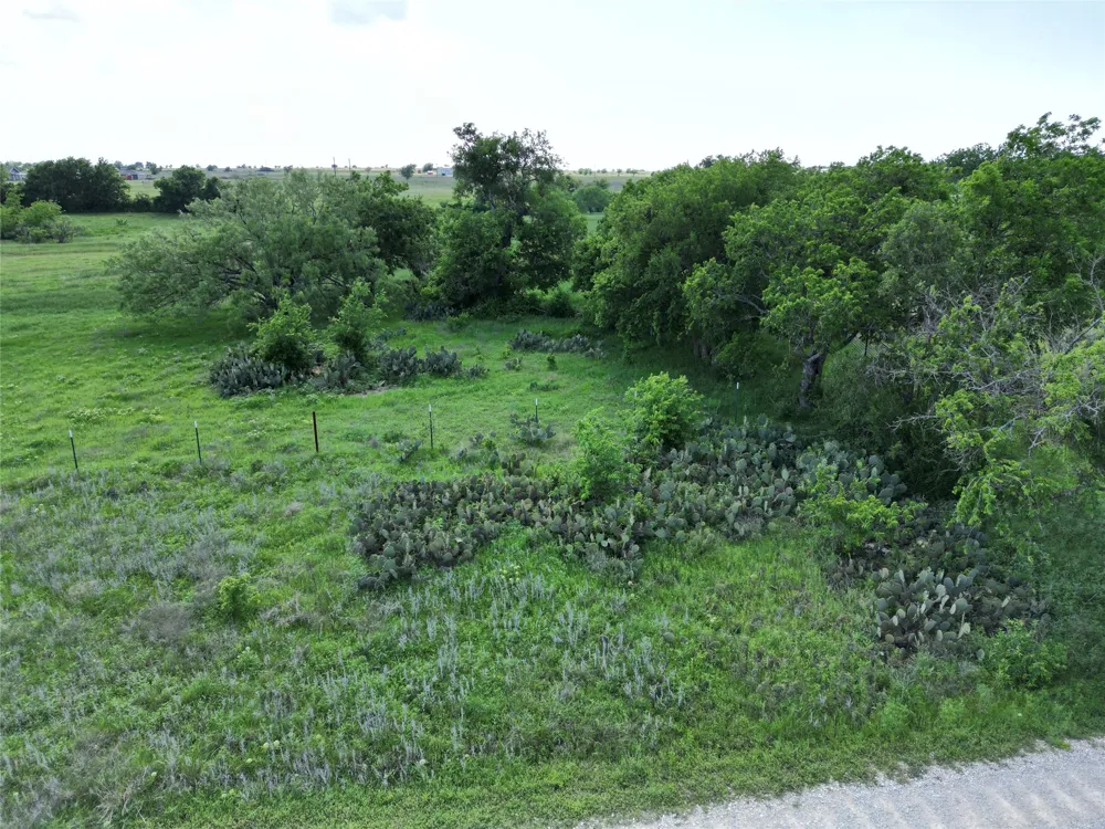 16 Titus Lane Bertram, TX 78605