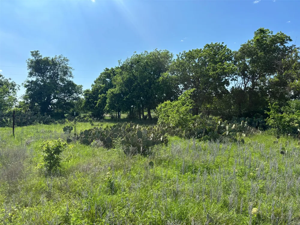 16 Titus Lane Bertram, TX 78605