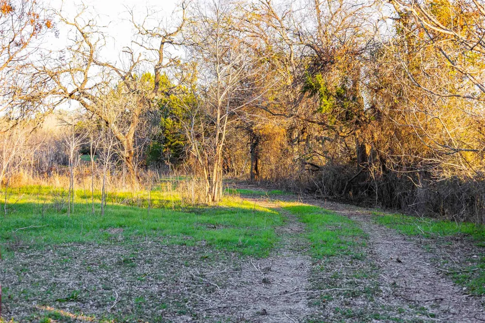 13017 Bob Johnson Lane #C Manchaca, TX 78652