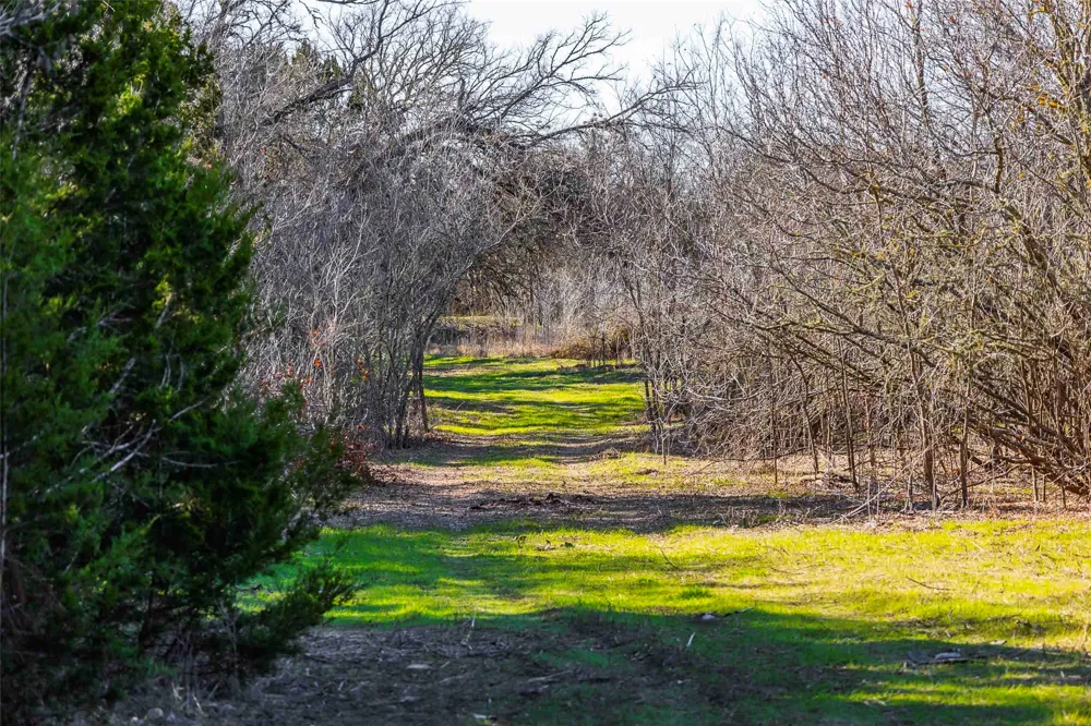 13017 Bob Johnson Lane #C Manchaca, TX 78652
