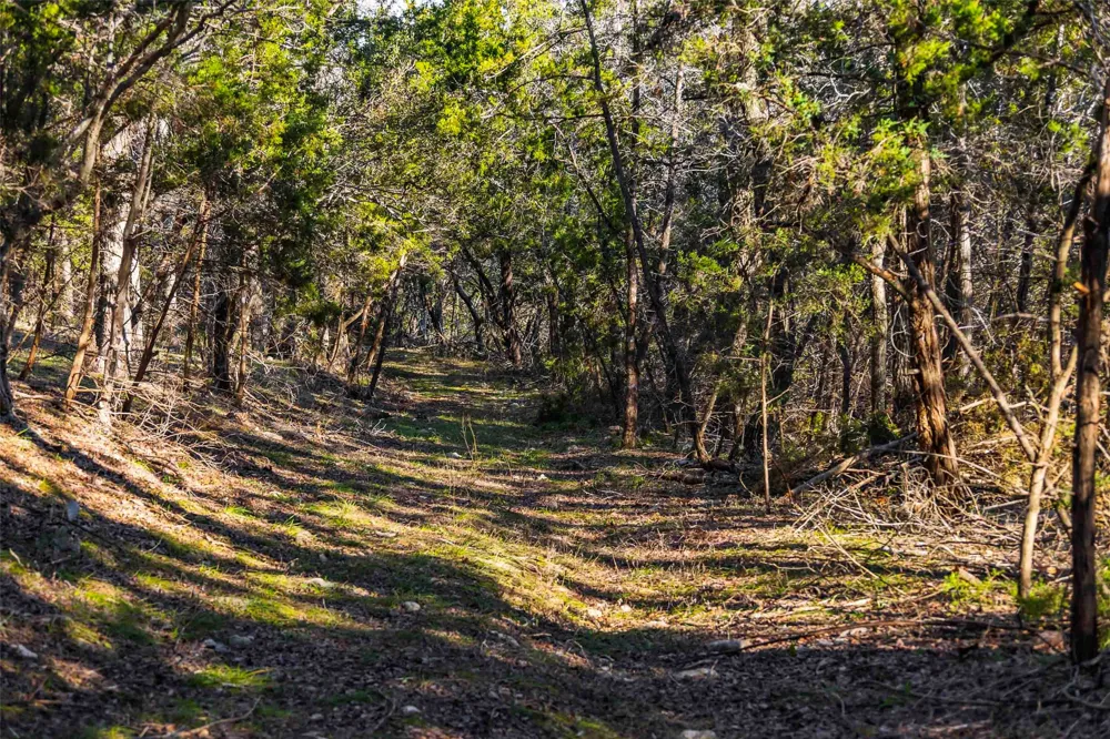 13017 Bob Johnson Lane #C Manchaca, TX 78652