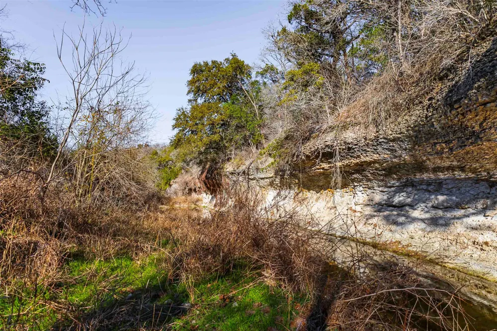 13017 Bob Johnson Lane #C Manchaca, TX 78652