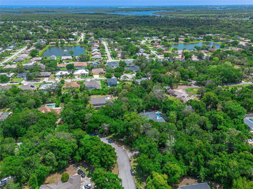 649 CHARMAGNE LANE Port Orange, FL 32127