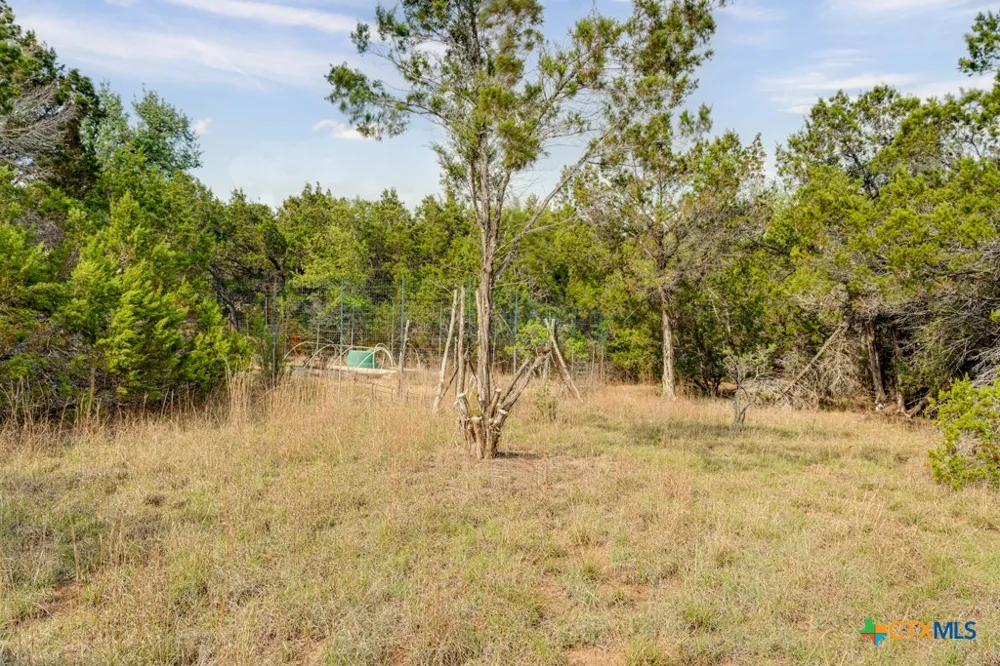 360 Morgan Court Fischer, TX 78623