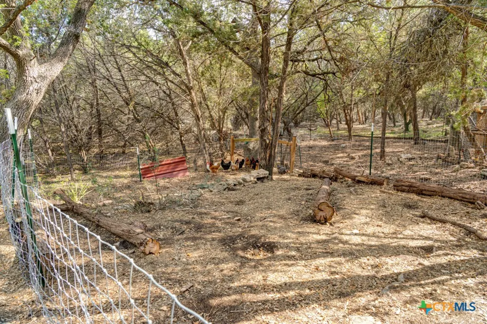360 Morgan Court Fischer, TX 78623