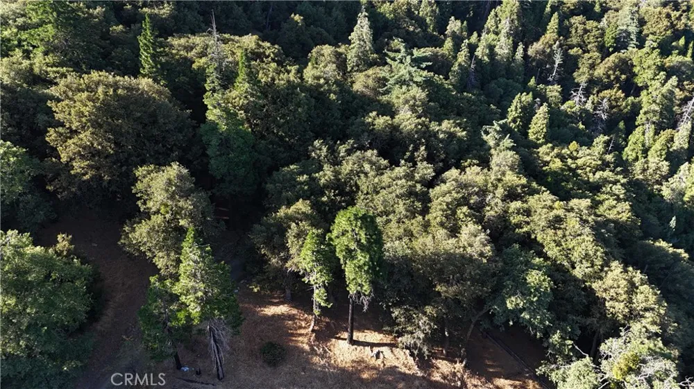 722 Mojave River Road Cedarpines Park, CA 92322
