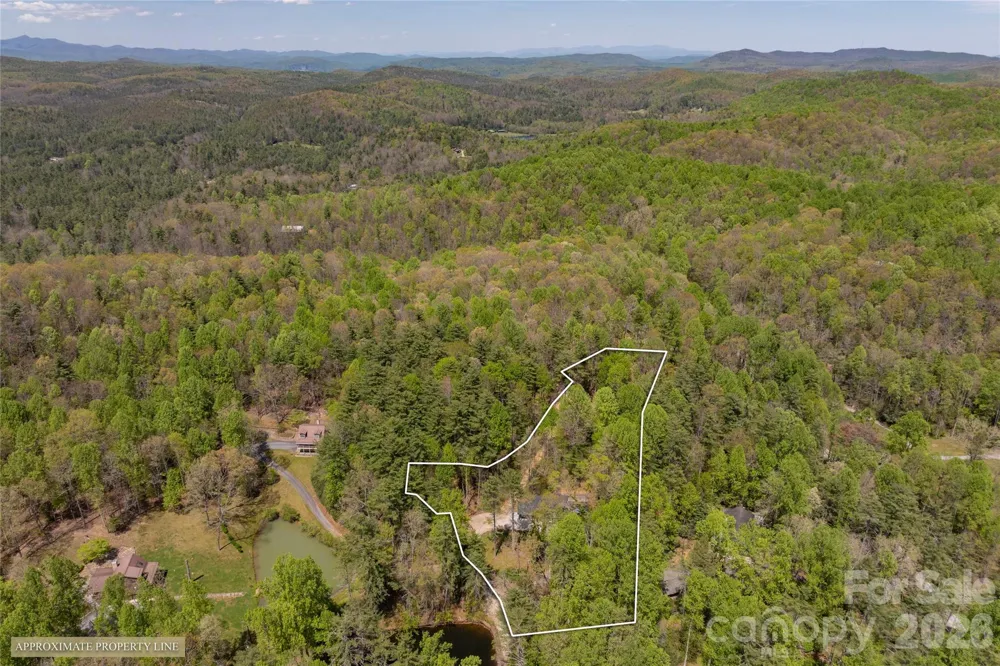 138 Stillwagon Lane Cedar Mountain, NC 28718