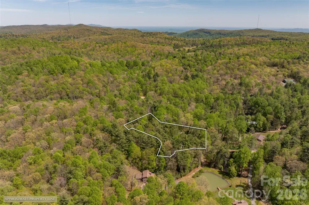 138 Stillwagon Lane Cedar Mountain, NC 28718