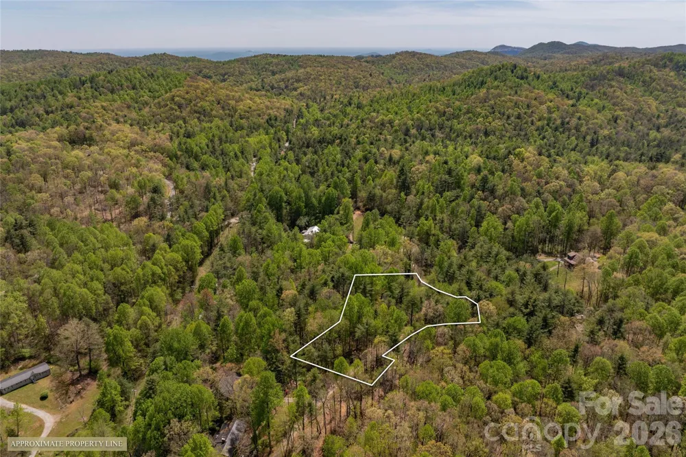 138 Stillwagon Lane Cedar Mountain, NC 28718