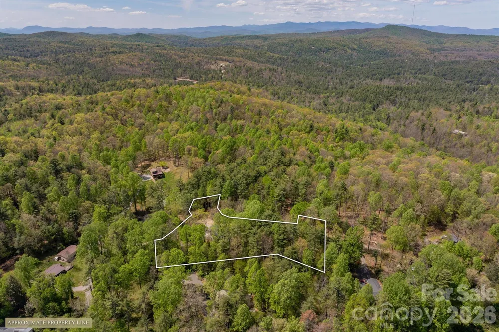 138 Stillwagon Lane Cedar Mountain, NC 28718