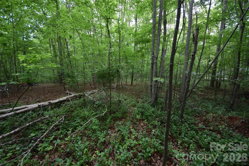 3007 Paraham Road S York, SC 29745
