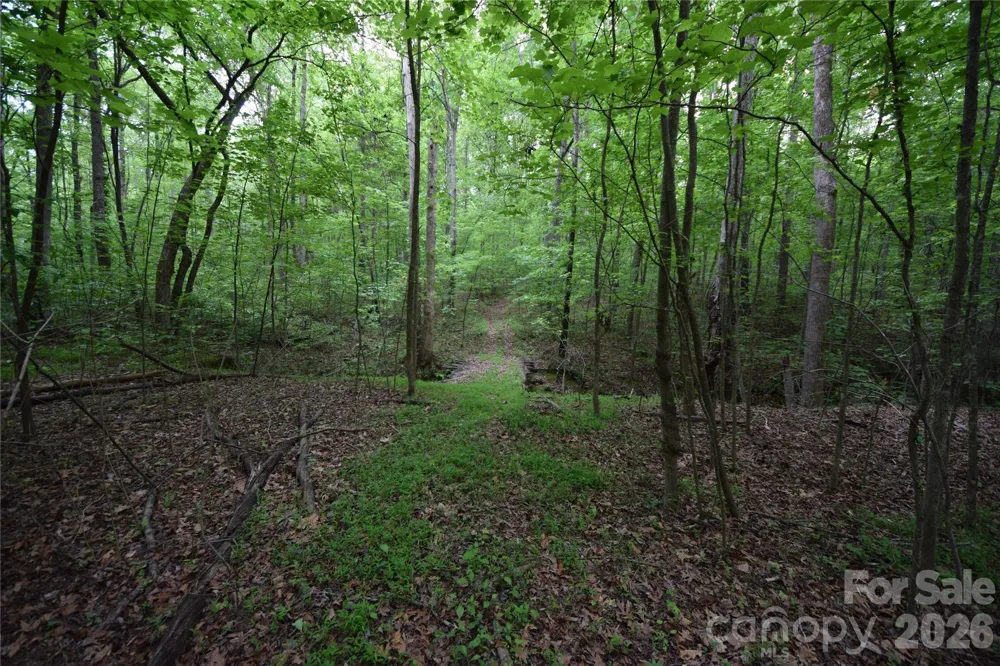 3007 Paraham Road S York, SC 29745