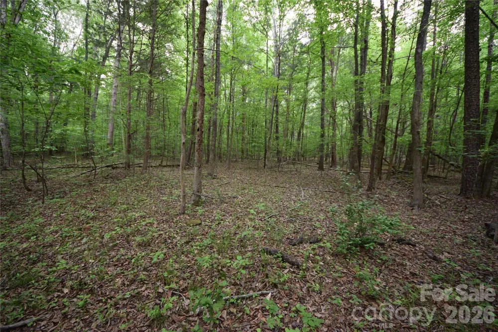 3007 Paraham Road S York, SC 29745
