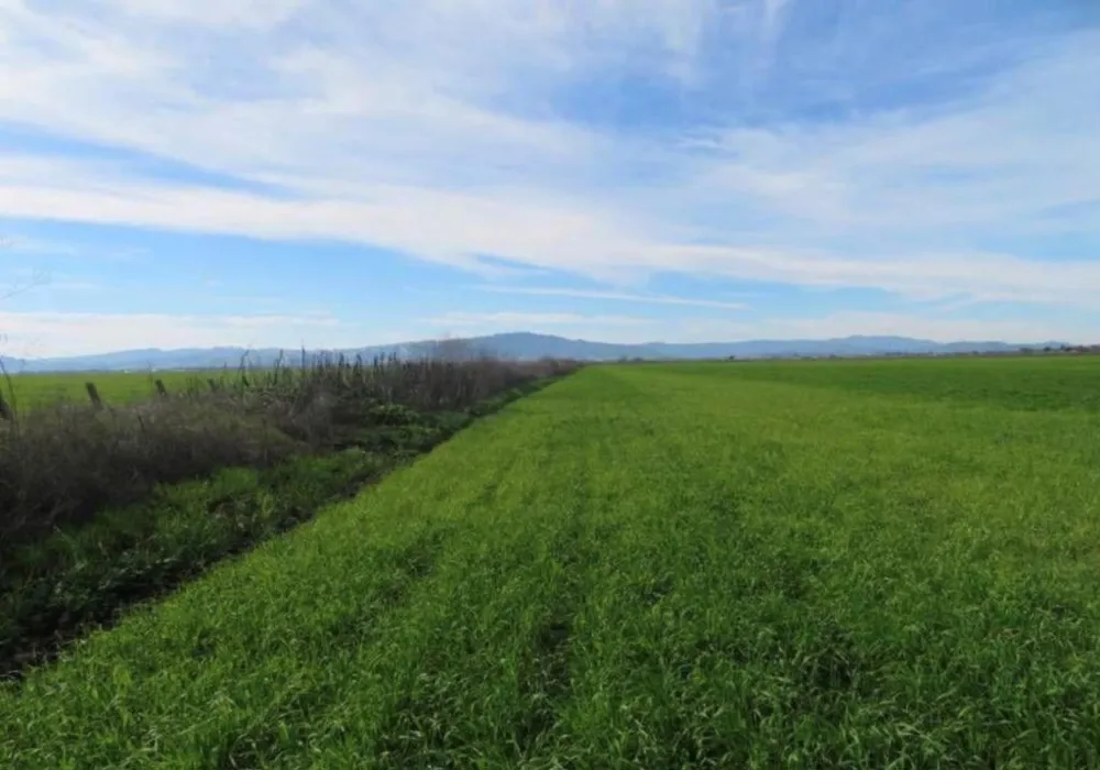 4790 Pacheco Pass Highway Gilroy, CA 95020