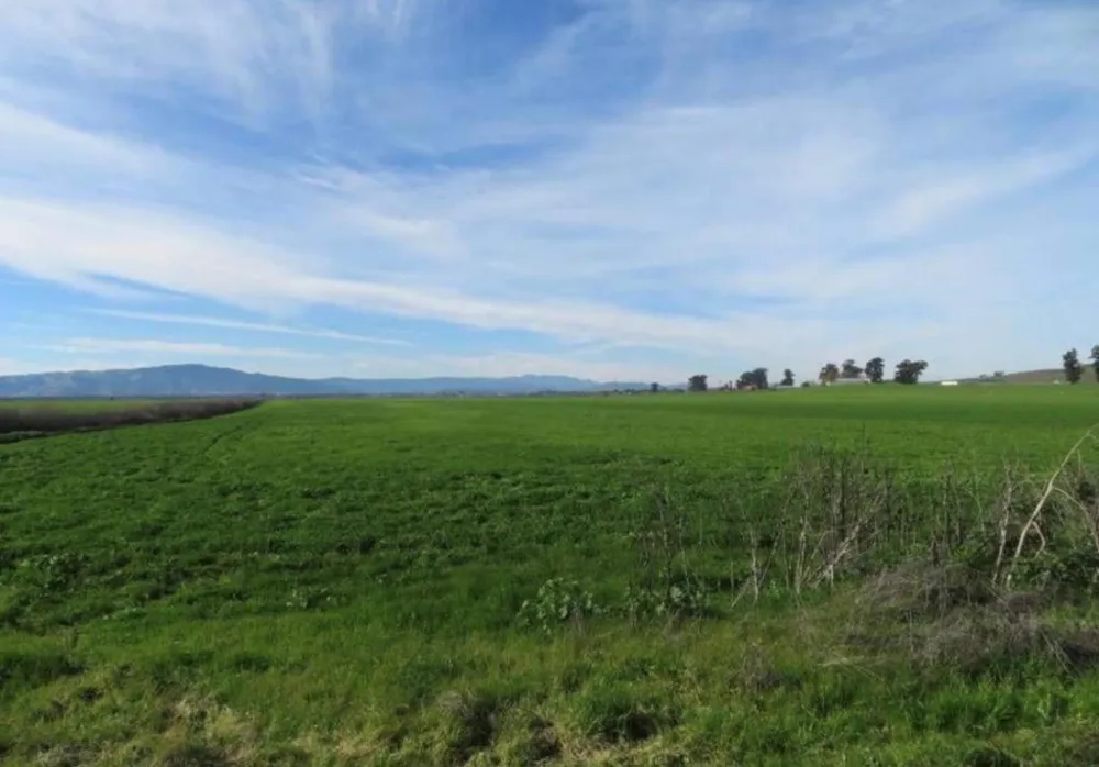 4790 Pacheco Pass Highway Gilroy, CA 95020