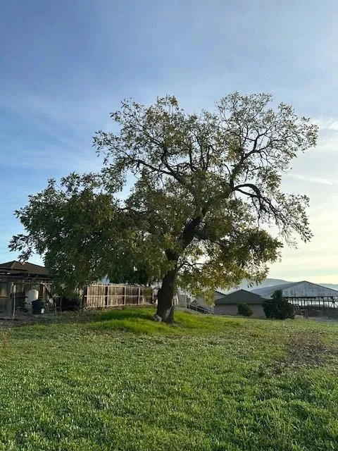 4790 Pacheco Pass Highway Gilroy, CA 95020