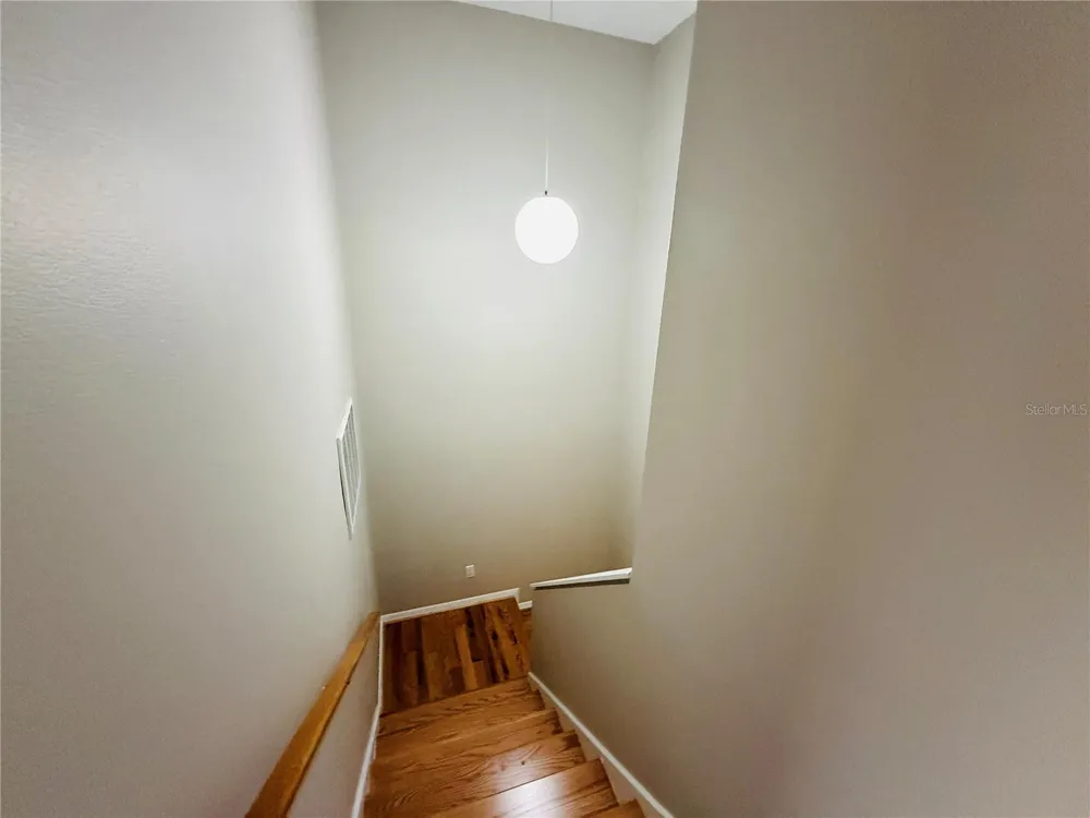 2843 THAXTON DRIVE #38 Palm Harbor, FL 34684