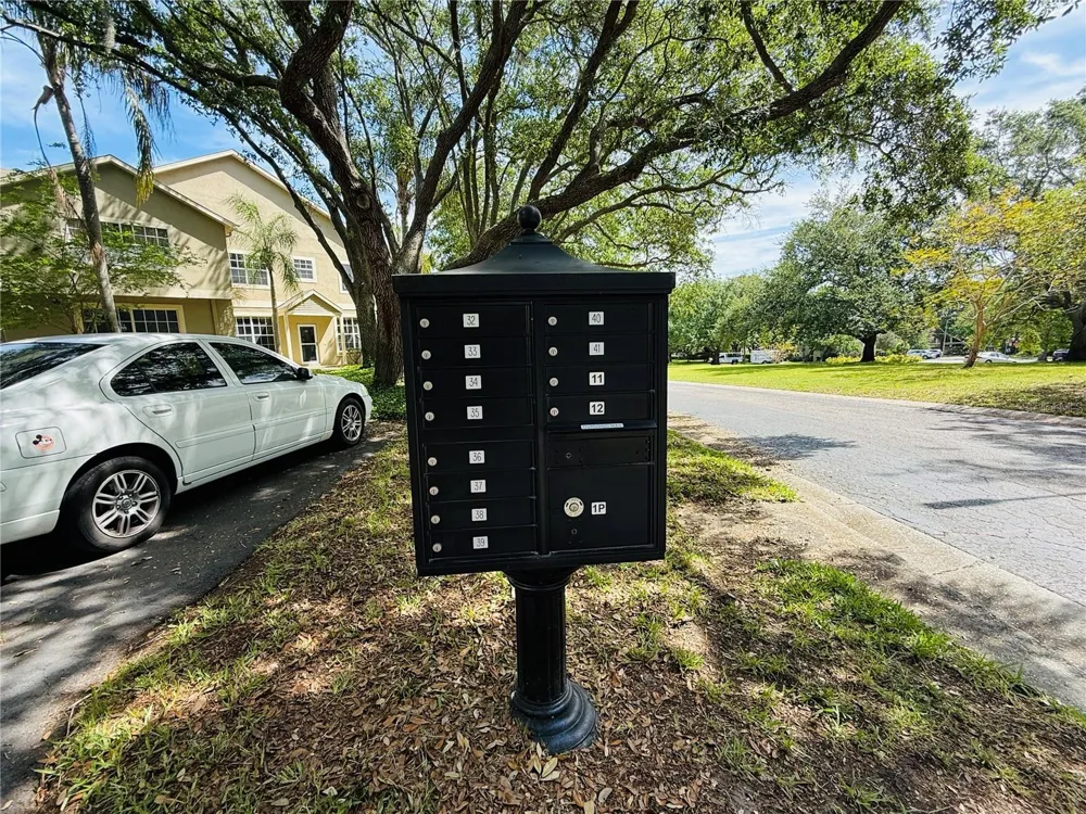 2843 THAXTON DRIVE #38 Palm Harbor, FL 34684