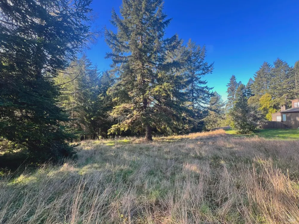 38065 Foothill Close The Sea Ranch, CA 95497