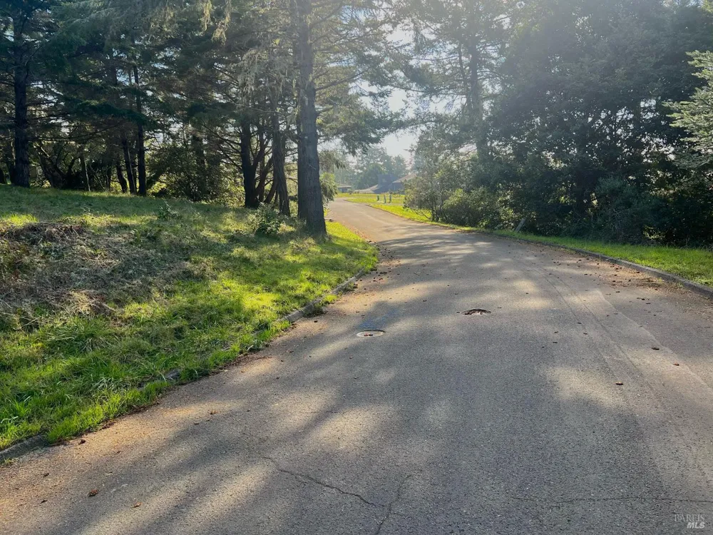 38065 Foothill Close The Sea Ranch, CA 95497