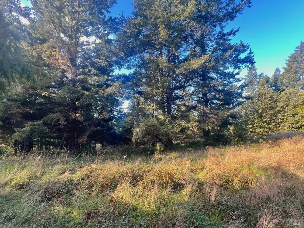 38065 Foothill Close The Sea Ranch, CA 95497