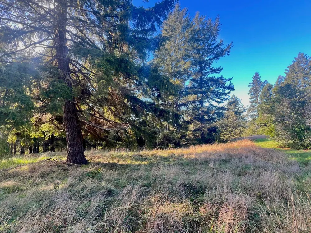 38065 Foothill Close The Sea Ranch, CA 95497