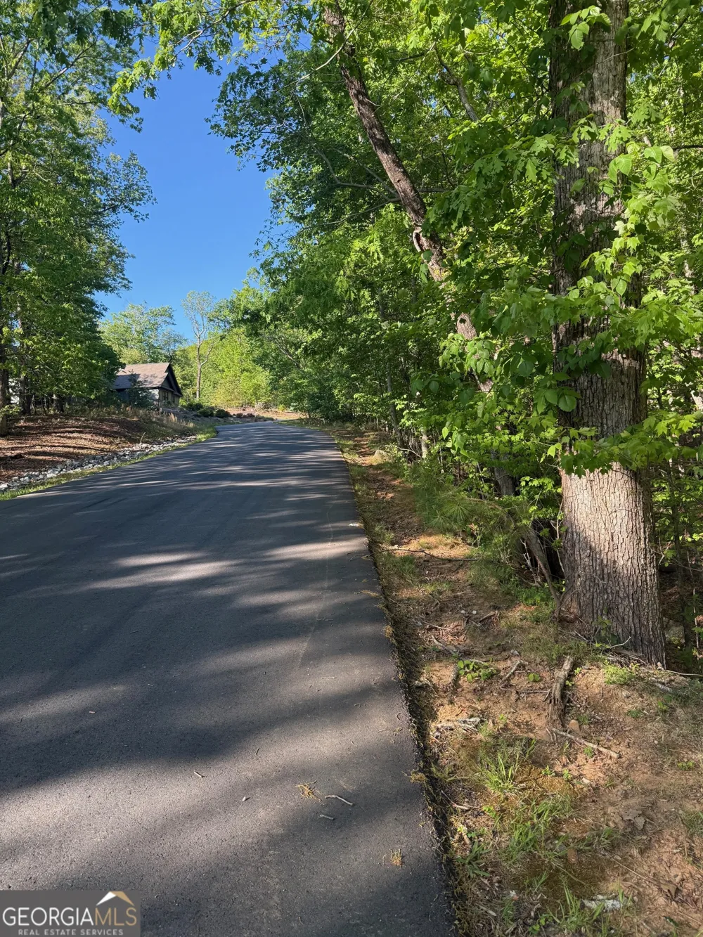 0 Mountainside Cleveland, GA 30528