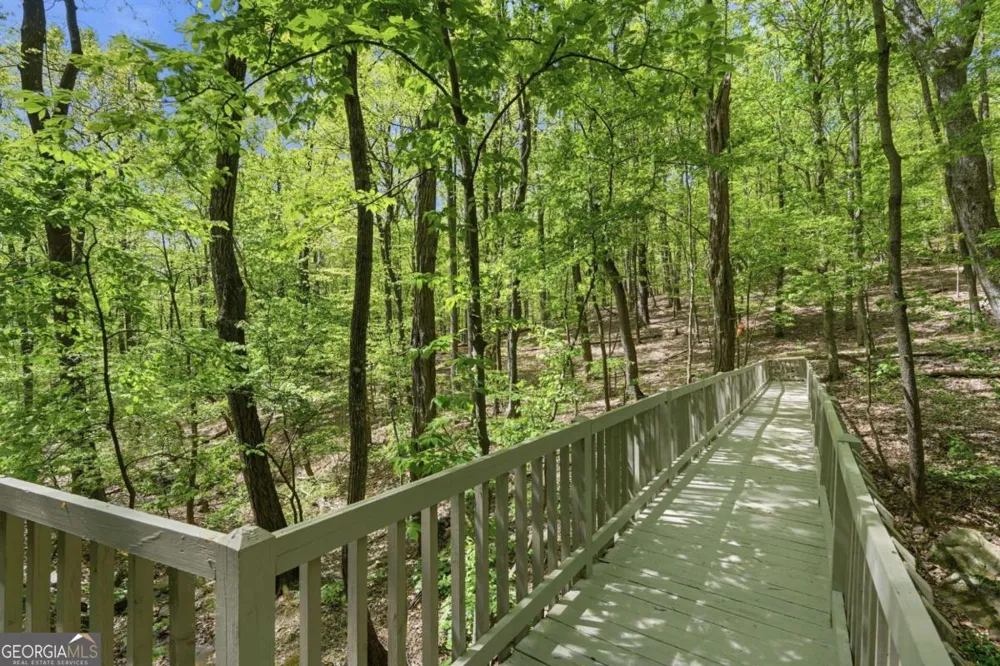 225 Windflower DR Big Canoe, GA 30143