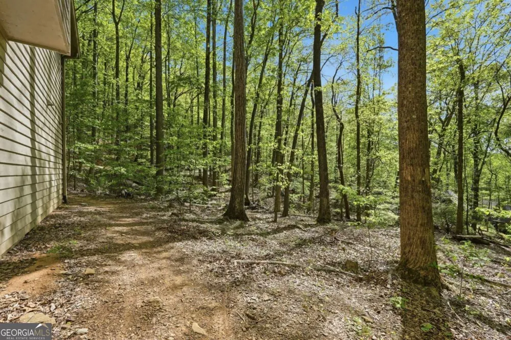 225 Windflower DR Big Canoe, GA 30143