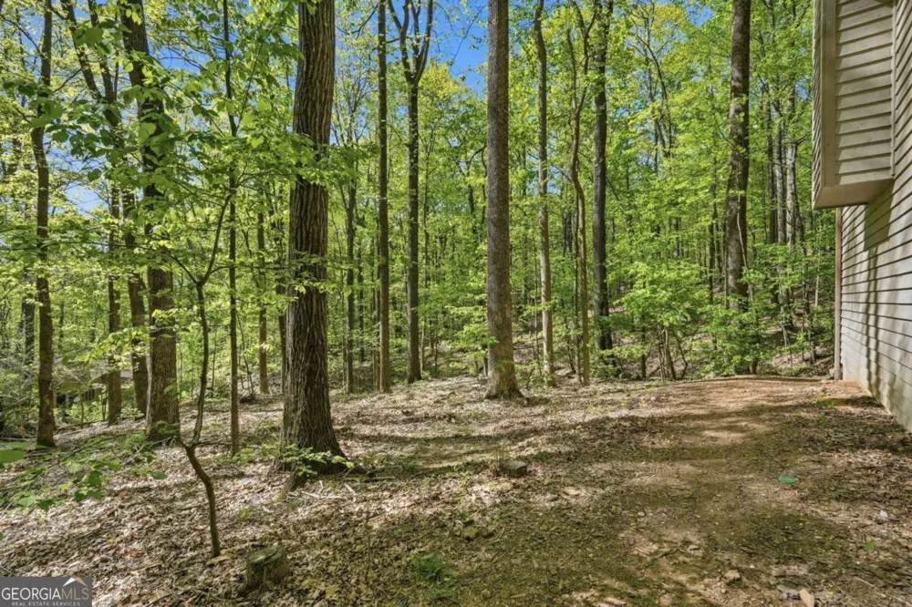 225 Windflower DR Big Canoe, GA 30143