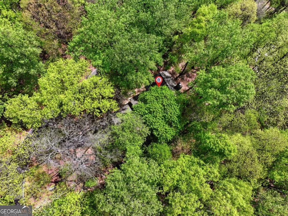 225 Windflower DR Big Canoe, GA 30143