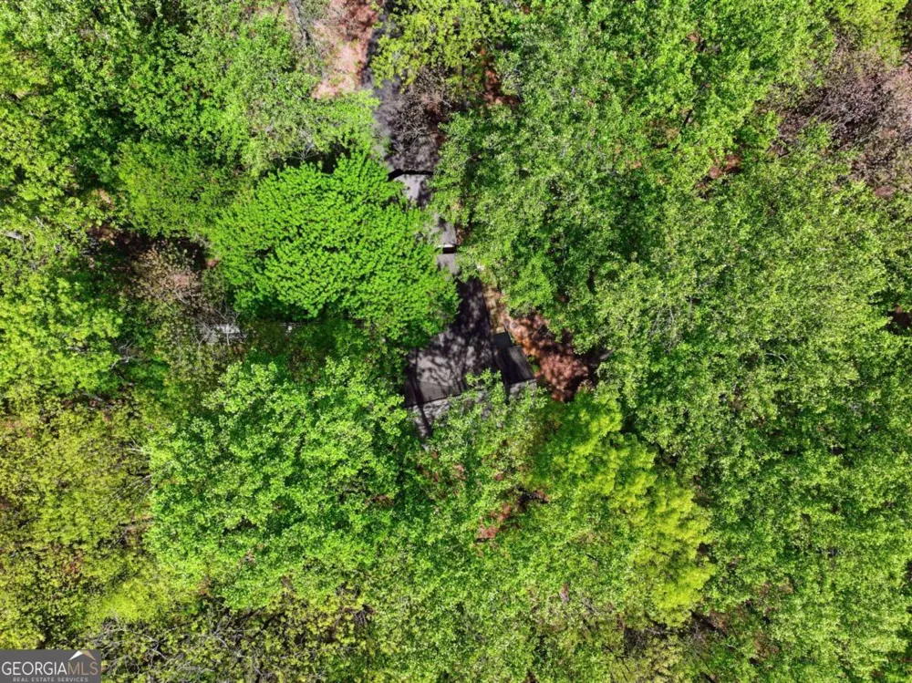 225 Windflower DR Big Canoe, GA 30143