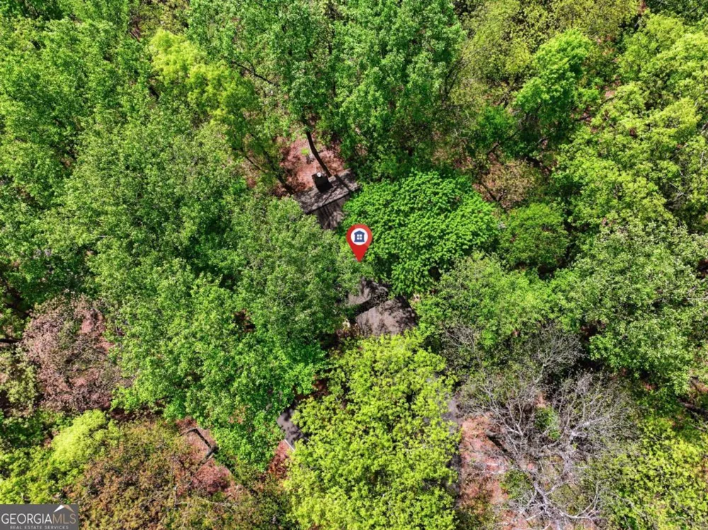 225 Windflower DR Big Canoe, GA 30143