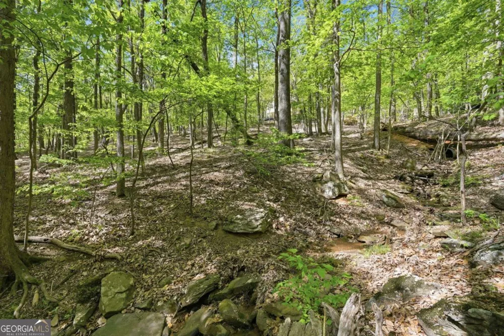 225 Windflower DR Big Canoe, GA 30143