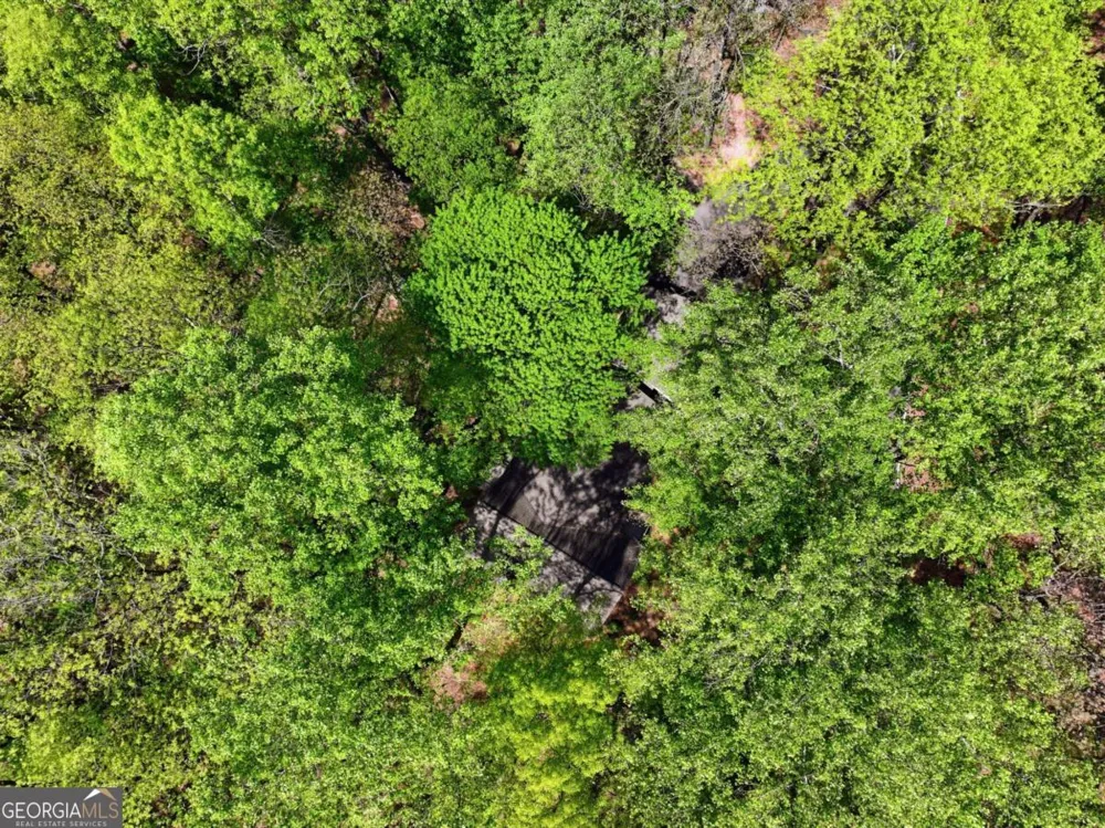 225 Windflower DR Big Canoe, GA 30143