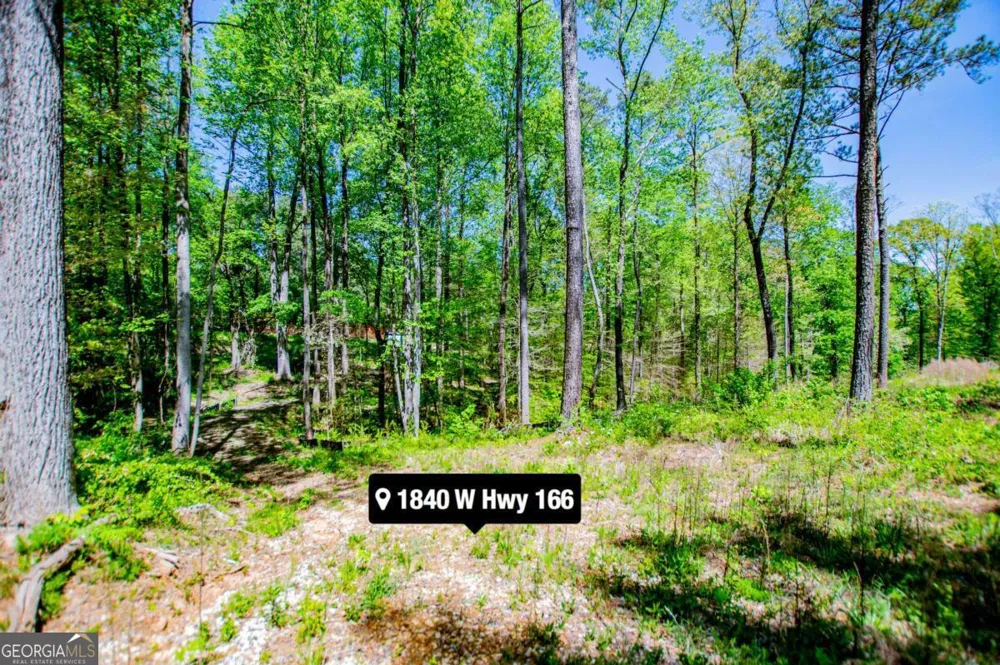 1840 W Highway 166 Bowdon, GA 30108