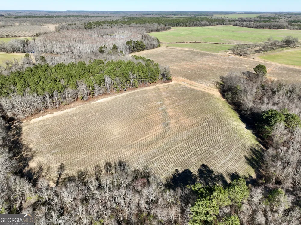 0 Jenkins Farm RD Byromville, GA 31007