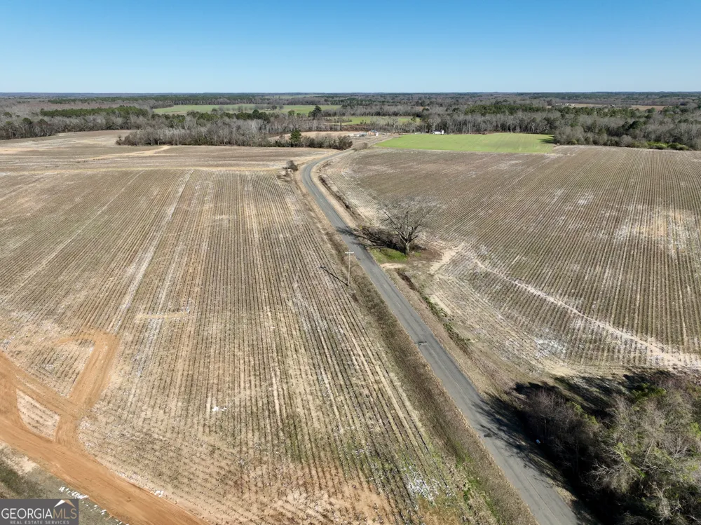 0 Jenkins Farm RD Byromville, GA 31007