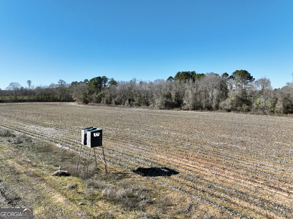 0 Jenkins Farm RD Byromville, GA 31007
