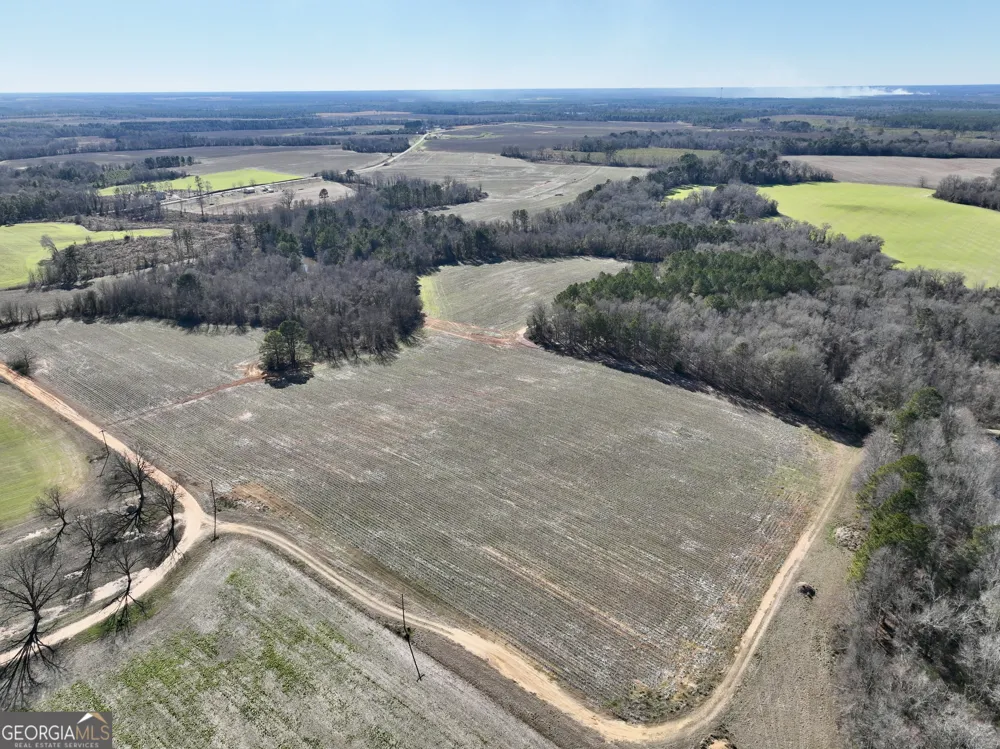 0 Jenkins Farm RD Byromville, GA 31007