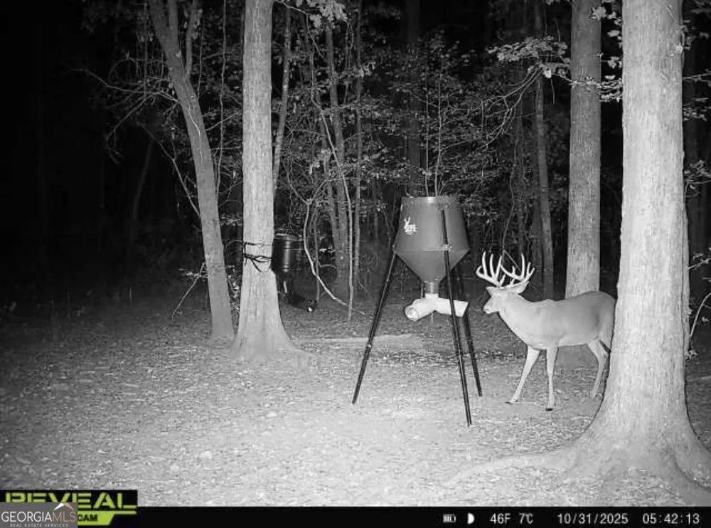 0 Jenkins Farm RD Byromville, GA 31007