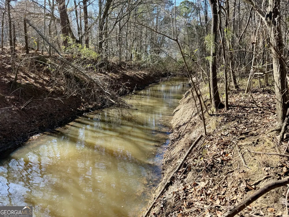 0 Jenkins Farm RD Byromville, GA 31007